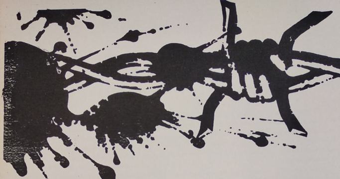 50151417_2035654426471738_3334229931323293696_n